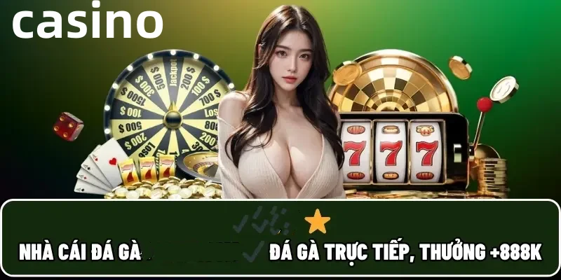 23win