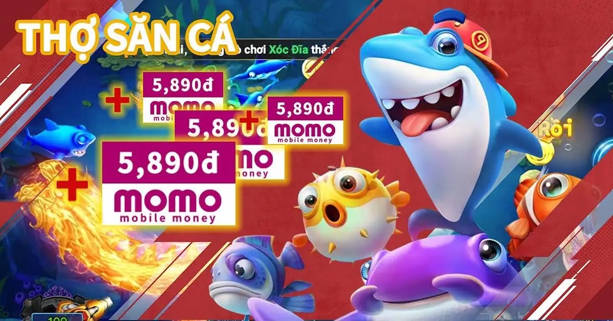 23win