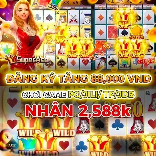 23win